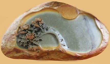 ���_(t��i)