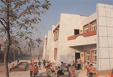 40�d��Ӱ׃�� ɽ�l(xi��ng)�����L��ƪ