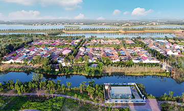 �O�ӹ��� �����I��