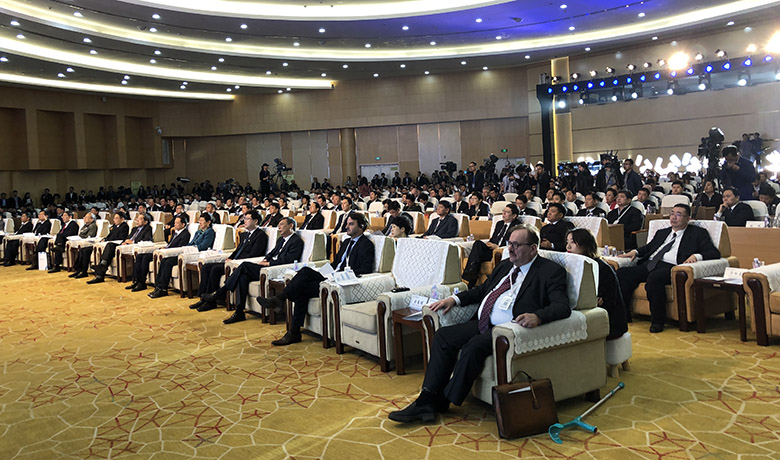 ������߶��X�I(y��)�����2019���_Ļ