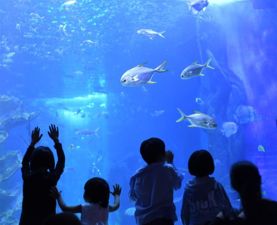 �������������