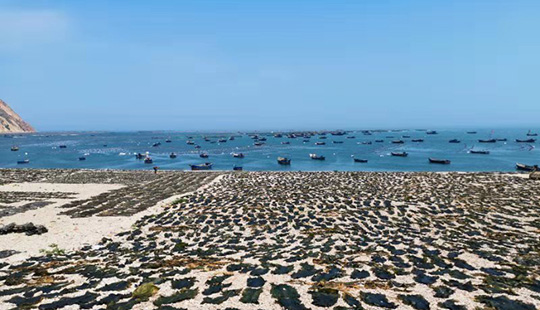 ���������o�F�M �O���S���B�Ձ�