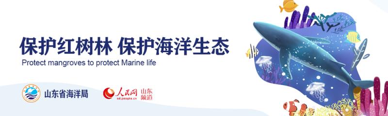 關(guān)心海洋、認(rèn)識(shí)海洋、經(jīng)略海洋珍惜海洋資源 保護(hù)海洋生物多樣性