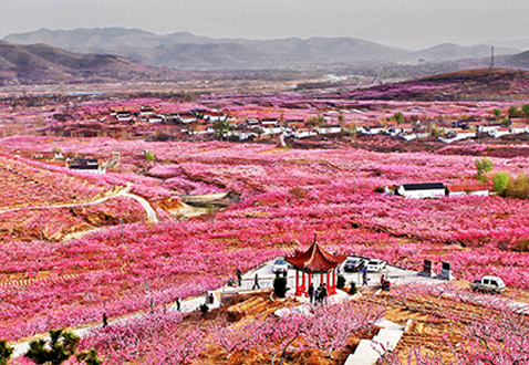 ��ꎿh�Nֲ��(y��u)�|(zh��)����65�f(w��n)��������(d��ng)6300����ؚ����(sh��)�F(xi��n)��(w��n)��Óؚ��