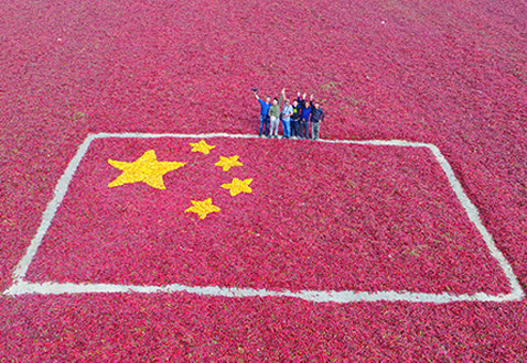 ���u���z�ݣ������a(ch��n)�I(y��)�̕�(hu��)���½�����ʡ�^(q��)�����Nֲʾ��������