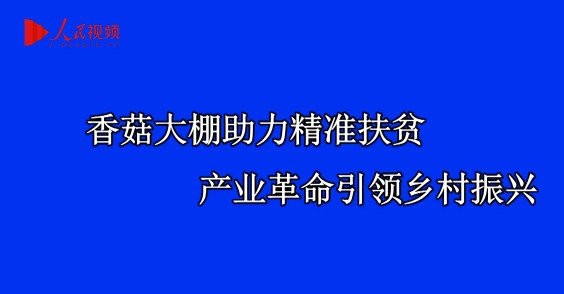 �㹽������������(zh��n)��ؚ �a(ch��n)�I(y��)�������I(l��ng)�l(xi��ng)�����d