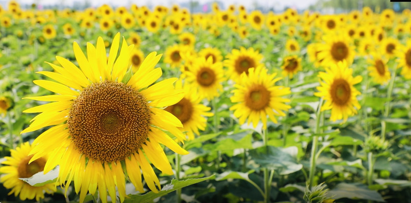 ��(j��)�ϻ��a�^(q��)�Ǽұ��ֵ�����䁴��6�f�������տ�����`�š� ��(j��)�ϻ��a�^(q��)ί���������D