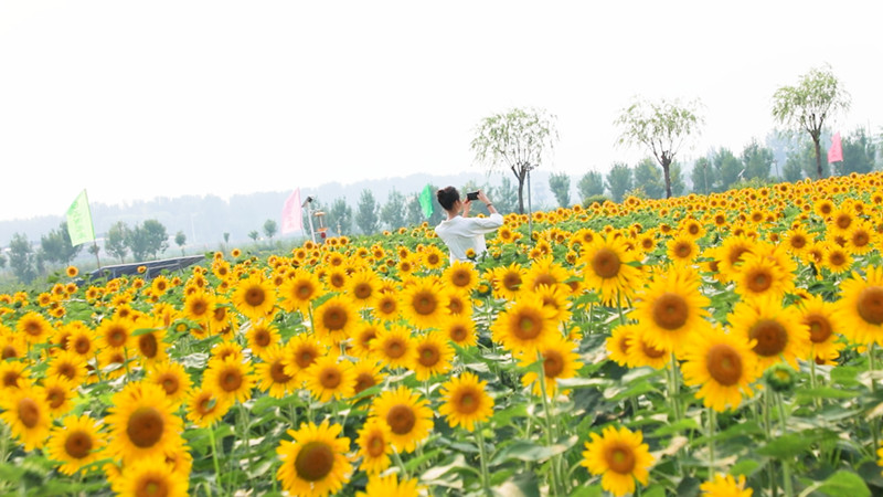 �����������ǰȥ�򿨡� ��(j��)�ϻ��a�^(q��)ί���������D