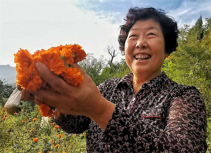 8��28���峿���Ͳ����ʹ��^(q��)̫���(zh��n)�¶�ʿ�������h֧����ӛФ��ێ��I(l��ng)������ɽ��ժ�f�۾����X���z