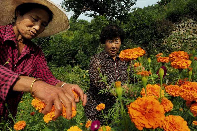 �¶�ʿ����f�۾ձ������H�еطQ�顰�¸��f�۾ա����X���z