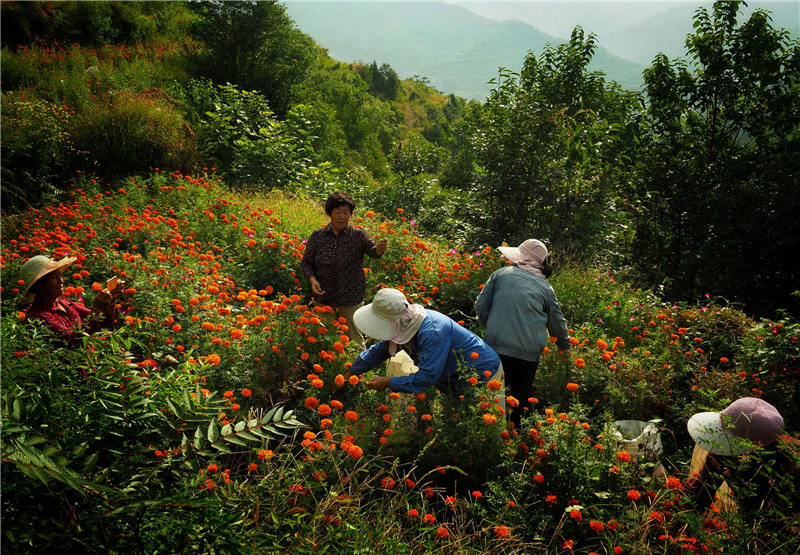 �¶�ʿ����f�۾ձ������H�еطQ�顰�¸��f�۾ա����X���z