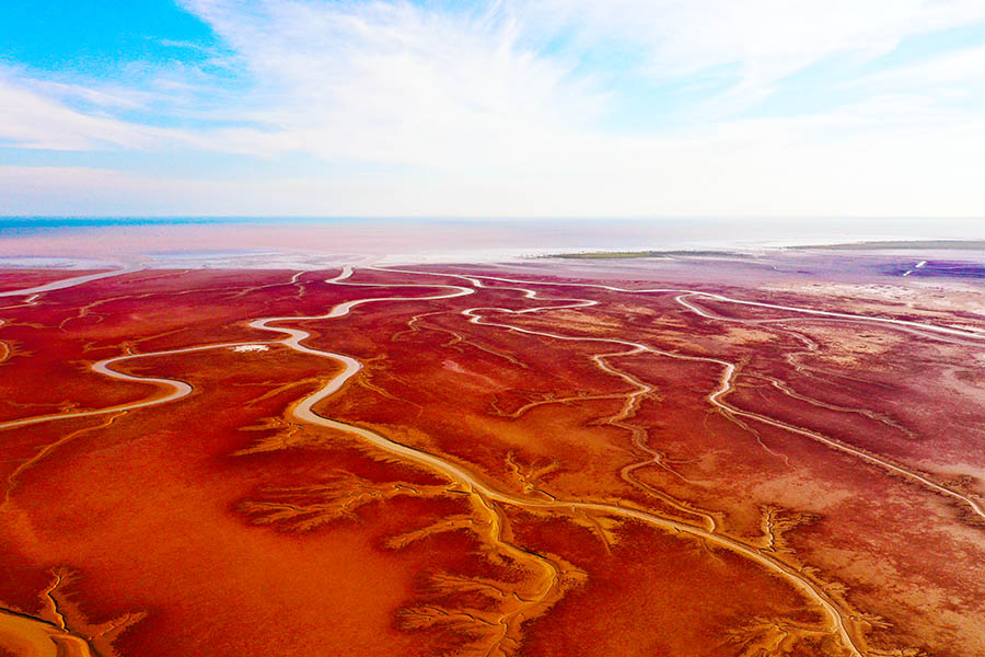 9��11�����|�I�ОI����؞�Ϳ������������Ϳֲ�������h��֮�Q�ĳ�A��o�V��ĝ�؞�Ϳ���һ�ӡ��t��̺�������z