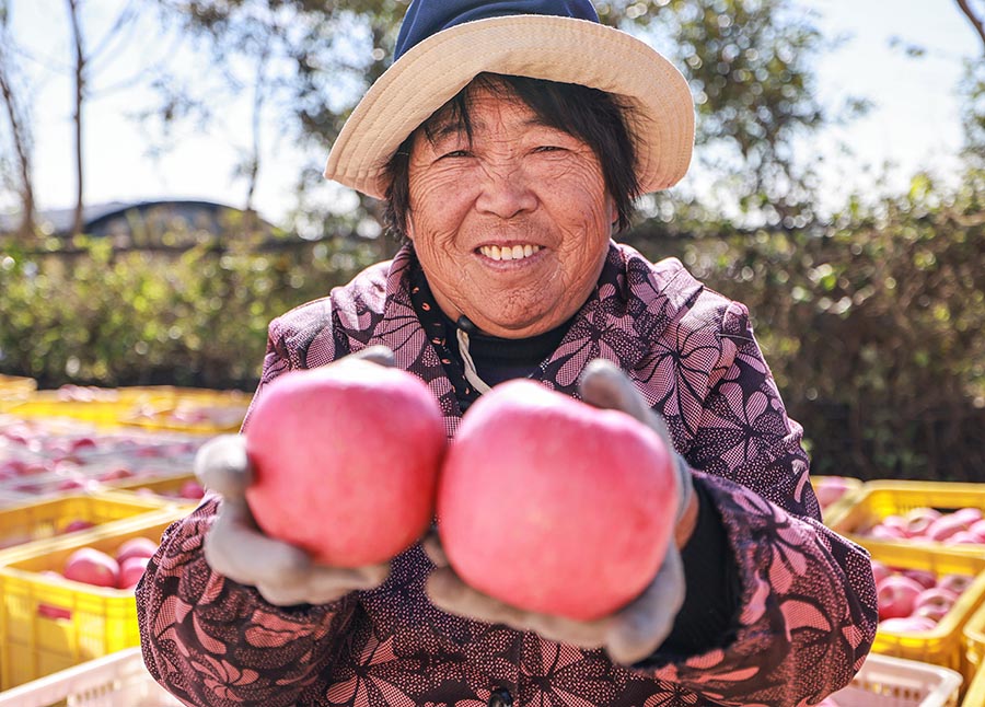 ɽ�|�s�������z�|�؅^(q��)�O���Nֲ�^�硢�ԷN��e������a�����ĵ؅^(q��)֮һ��ռȫ�п�����80%���������ž��z