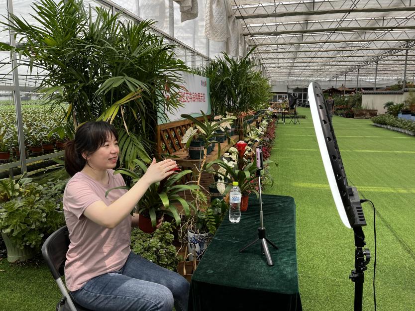 山東青州花卉直播電商產(chǎn)業(yè)園一角。 顧玉雪攝