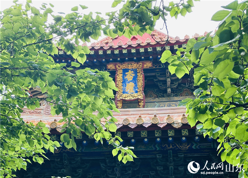 曲阜孔廟，枝葉掩映中的杏壇。人民網(wǎng) 喬姝攝