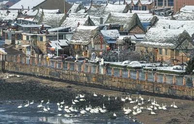 雪后的煙墩角村景色。澳大利亞籍游客 約翰遜·帕特里夏·安攝