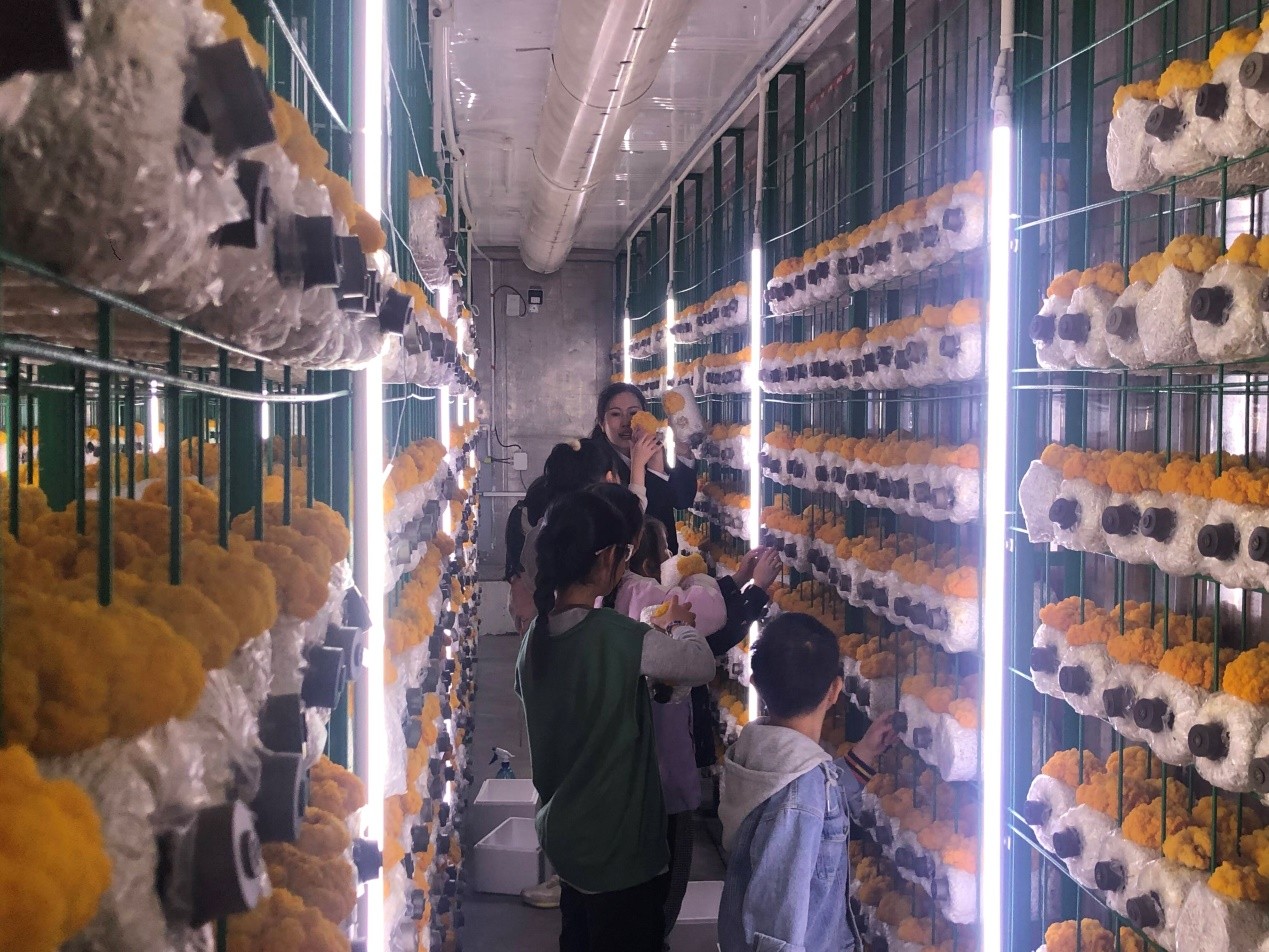 研學(xué)活動(dòng)