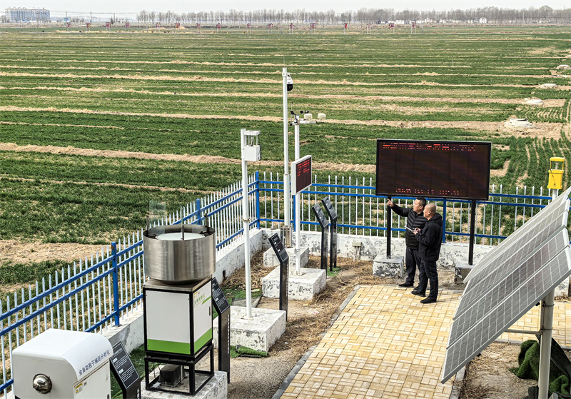 2025年3月14日，工作人員在山東省樂陵市高標(biāo)準(zhǔn)農(nóng)田示范區(qū)智能農(nóng)田技術(shù)服務(wù)站查看農(nóng)情監(jiān)測數(shù)據(jù)。