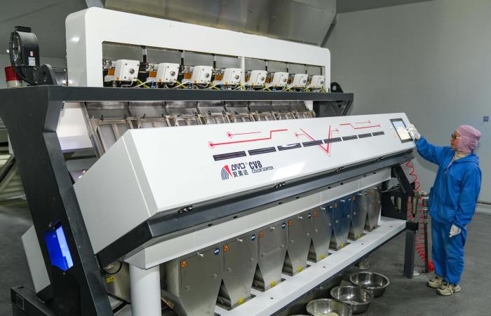 圖為2025年3月17日，在山東省樂陵市化樓鎮(zhèn)歐潤食品有限公司生產(chǎn)車間，工人在有序地操作機械生產(chǎn)面包糠。