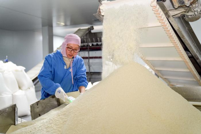 圖為2025年3月17日，在山東省樂陵市化樓鎮(zhèn)歐潤食品有限公司生產(chǎn)車間，工人在檢測面包糠干燥程度。