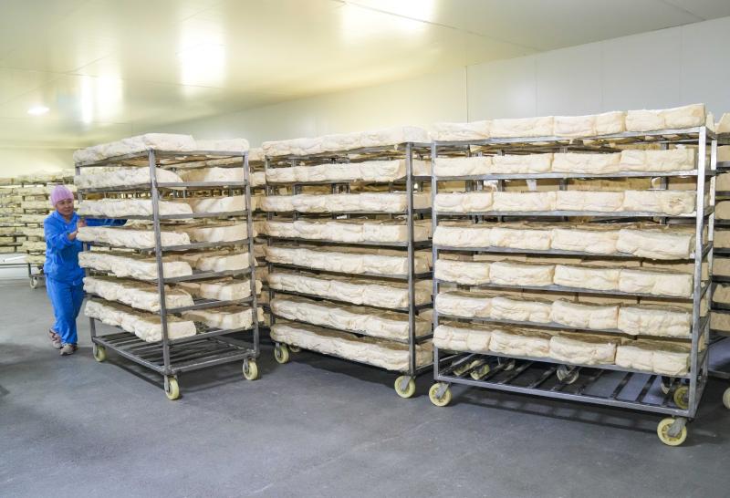 圖為2025年3月17日，在山東省樂陵市化樓鎮(zhèn)歐潤食品有限公司生產(chǎn)車間，工人在有序地進行面包糠加工制作環(huán)節(jié)。