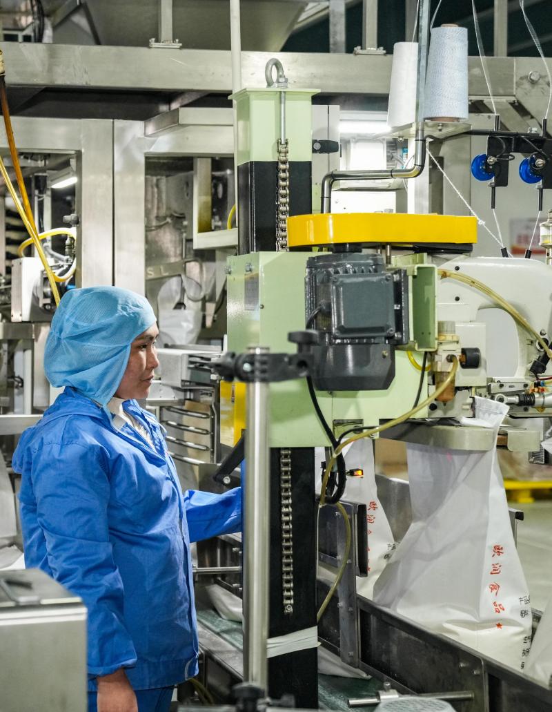 圖為2025年3月17日，在山東省樂陵市化樓鎮(zhèn)歐潤食品有限公司生產(chǎn)車間，工人在繁忙有序地進行面包糠包裝。