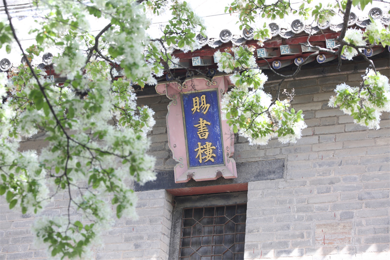 4月13日，在山東鄒城孟府景區(qū)拍攝的流蘇花。