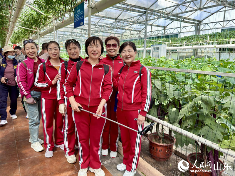 葉菜工廠化生產(chǎn)區(qū)。人民網(wǎng) 鄭昕橋攝