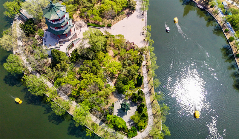 4月20日，游客在山東青島萊西市月湖公園泛舟游玩。張進剛攝