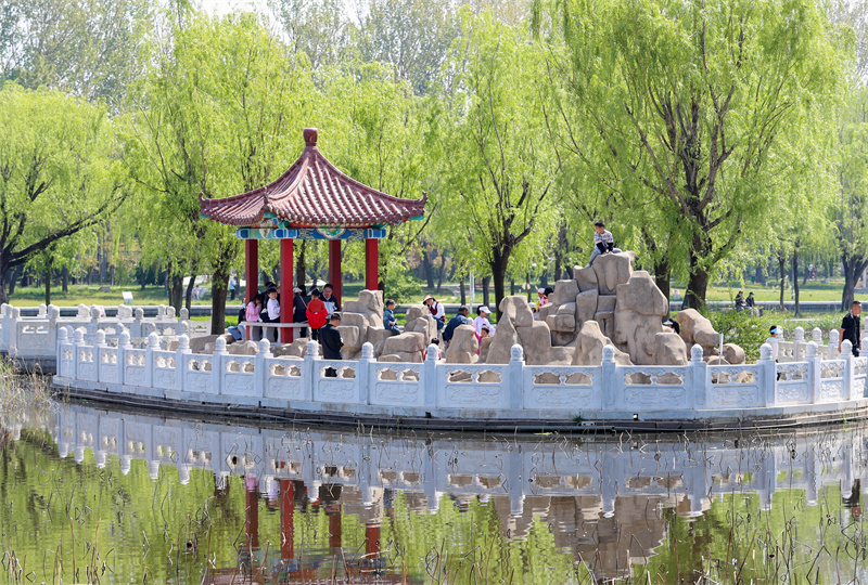 4月20日，游客在山東青島萊西市月湖公園踏青游玩。張進剛攝