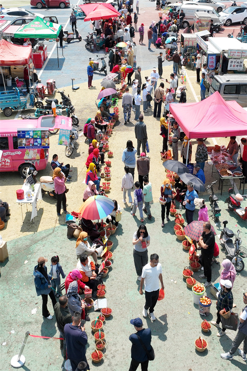 2025年5月11日，在山東省青島市城陽區(qū)夏莊街道山色峪鄉(xiāng)村振興齊魯樣板省級片區(qū)拍攝的櫻桃銷售市場。