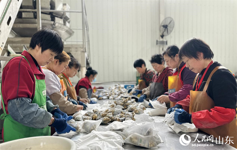 工人正在對牡蠣進(jìn)行包裝。人民網(wǎng) 喬姝攝