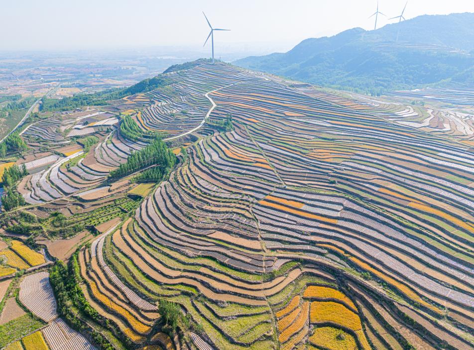 五蓮梯田20250520-30