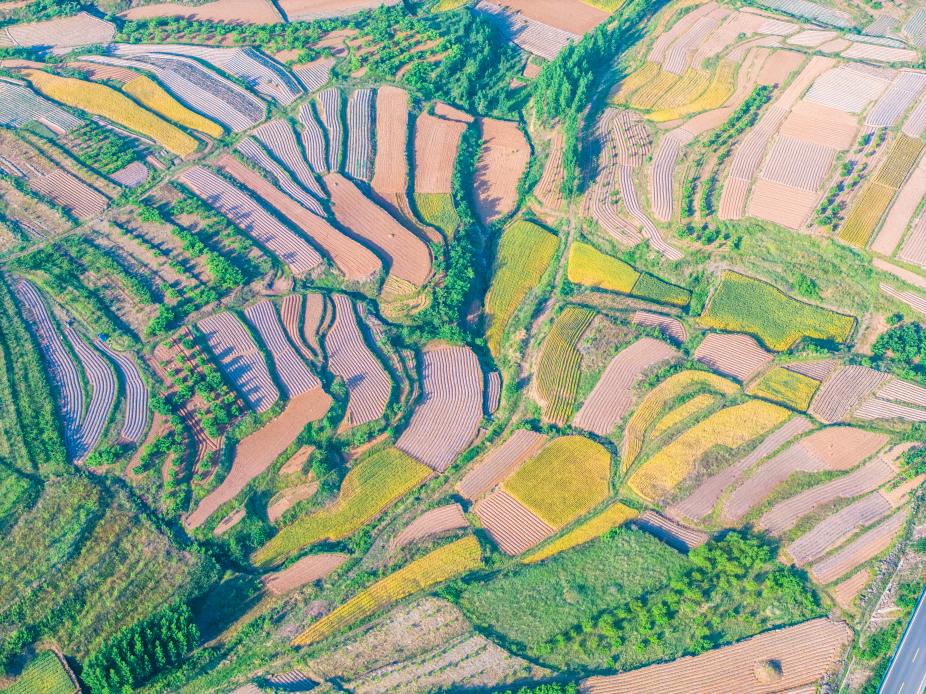 五蓮梯田20250520-4