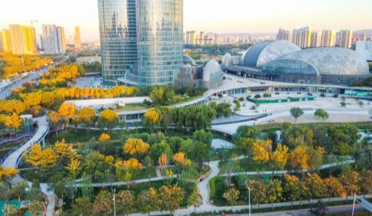 玩轉槐蔭，探秘文化科技寶藏地