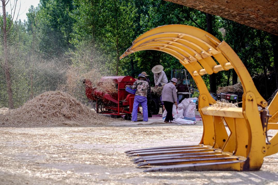 五蓮 袁召勇 攝5