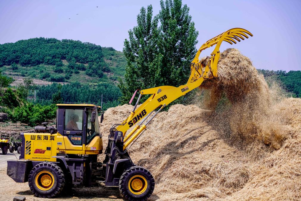 五蓮 袁召勇 攝3