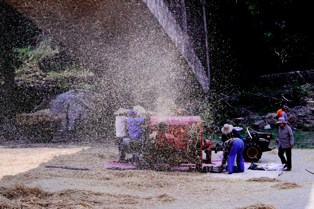 五蓮 袁召勇 攝4