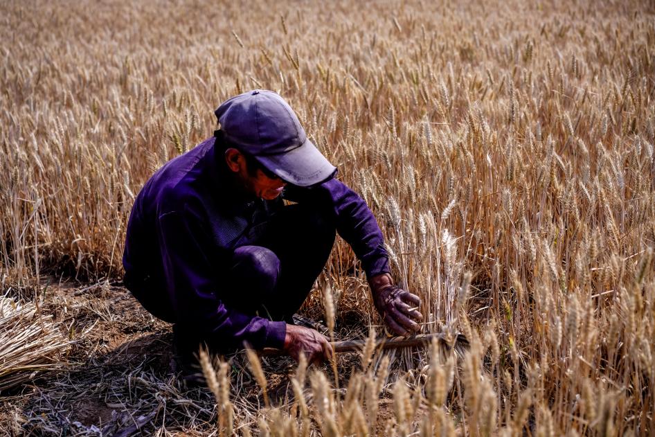 五蓮 袁召勇 攝6