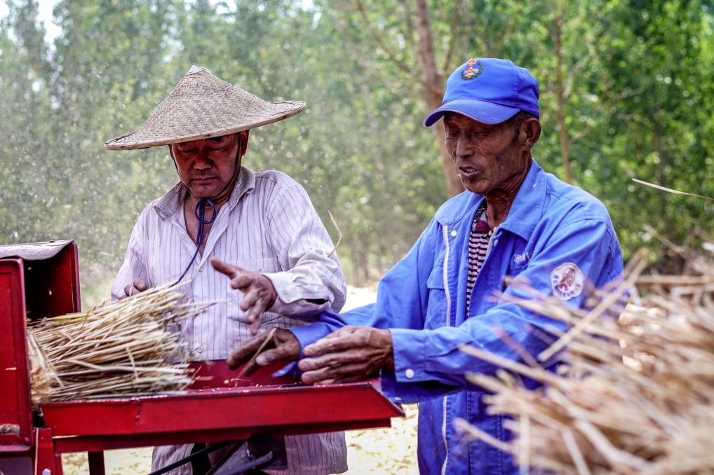 五蓮 袁召勇 攝2