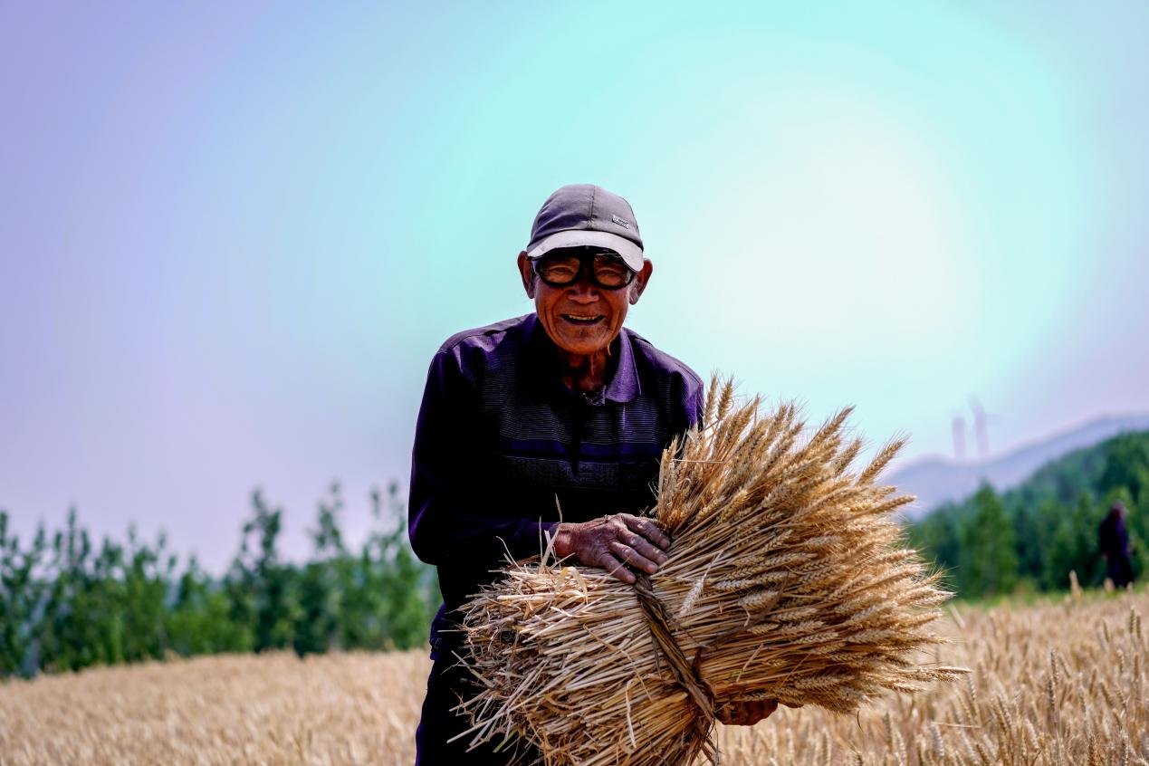 五蓮 袁召勇 攝