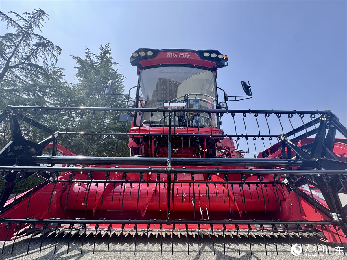 濰柴雷沃大型多功能谷物聯(lián)合收割機(jī)。人民網(wǎng) 鄭昕橋攝