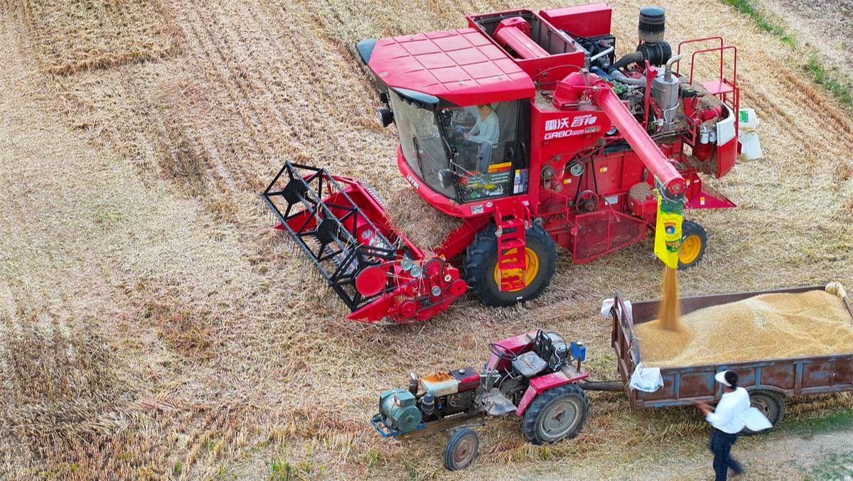 從產(chǎn)線到地頭的“智”造力量在濰柴雷沃智慧農(nóng)業(yè)的拖拉機(jī)工廠總裝車間，工人正精準(zhǔn)裝配一臺臺智能拖拉機(jī)，每一顆螺絲、每一組傳感器都凝聚著現(xiàn)代農(nóng)業(yè)科技的結(jié)晶。