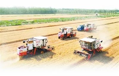 東營市東營區(qū)牛莊鎮(zhèn)高標準農(nóng)田里，收割機在收割小麥。劉智峰攝（人民視覺）