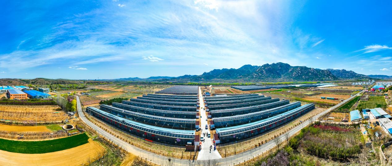 五蓮縣果樹大本營基地。張有平攝