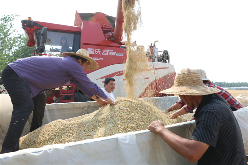 山東臨沂公益機(jī)收現(xiàn)場