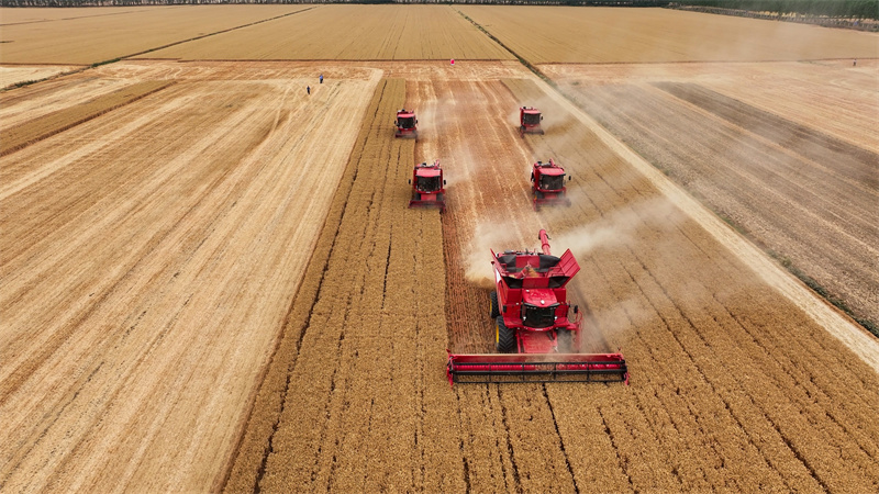 雷沃谷神作業(yè)