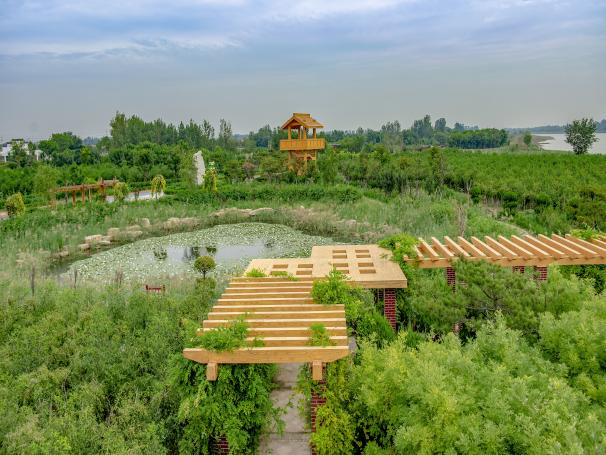 生態(tài)修復(fù)后