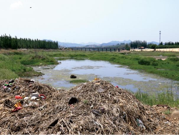 生態(tài)修復前
