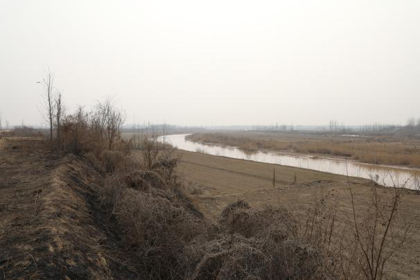 河道生態(tài)修復(fù)前